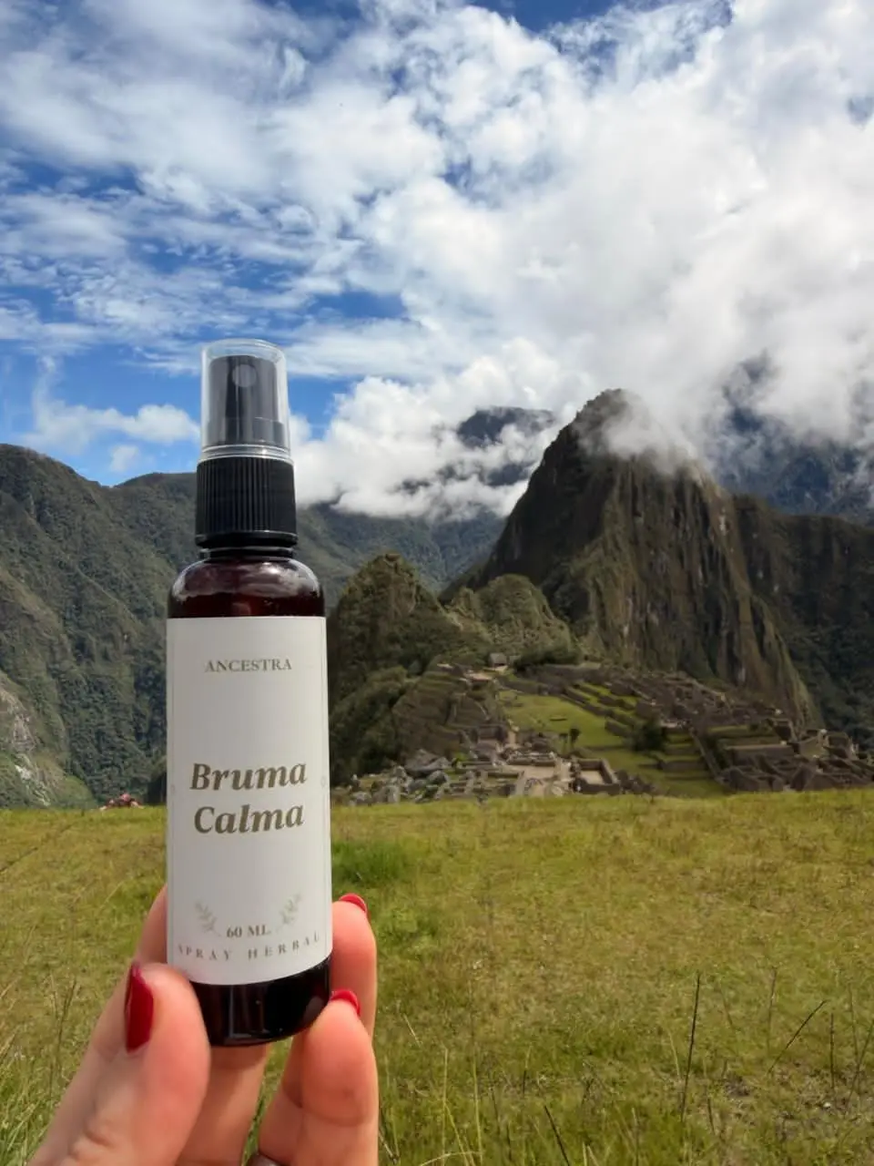 Bruma Calma de ANCESTRA frente a Machu Picchu